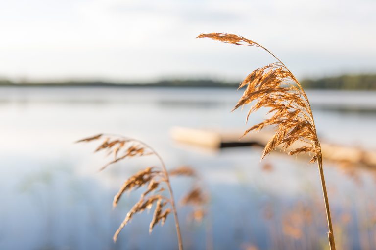 ähtäri mökki majoitus hyvölän talo panda golf kalastus tuuri lapsiperhe kartano