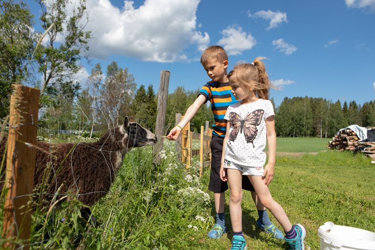 ähtäri mökki majoitus hyvölän talo panda golf kalastus tuuri lapsiperhe kartano